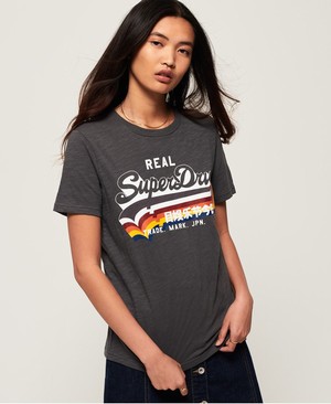 Superdry Vintage Logo Rainbow Shadow Női Pólók Szürke | FZPJO7182